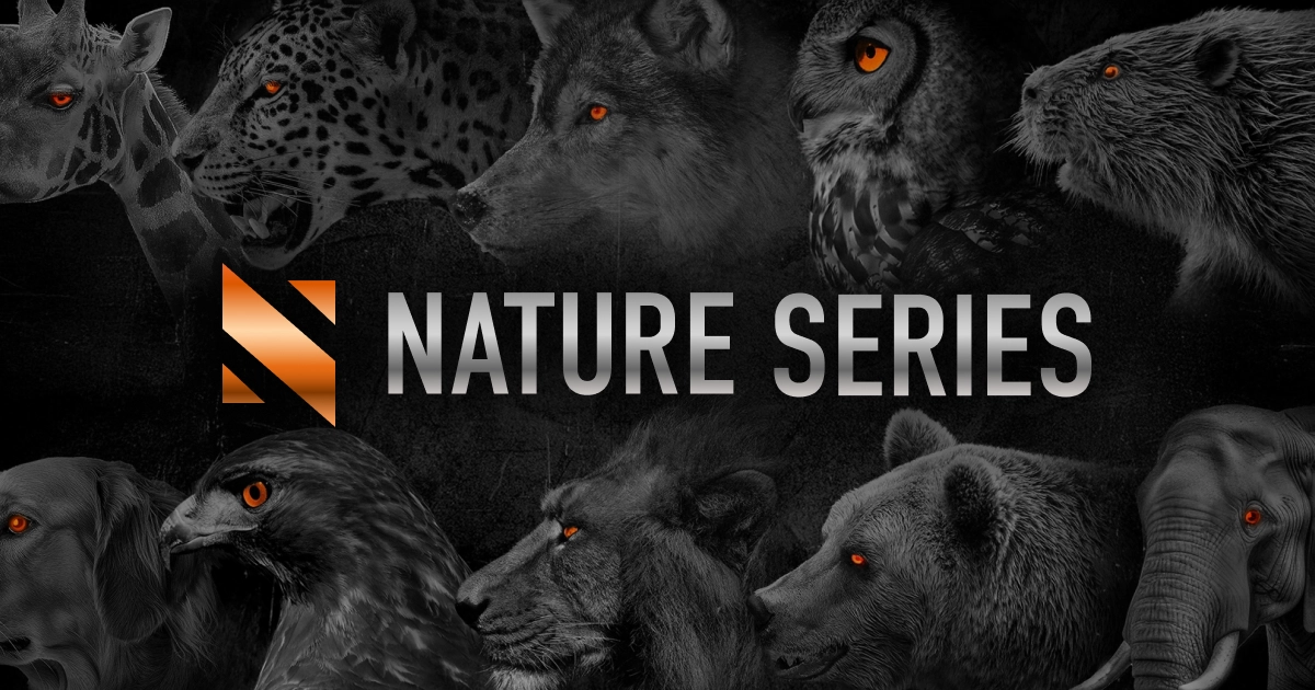 NATURE SERIES | 株式会社 網屋