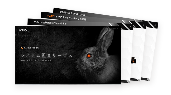 システム監査サービス概要資料