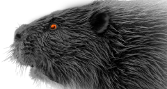 ISMS認証取得支援