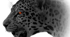 緊急インシデント対応