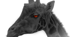 アタックサーフェス調査