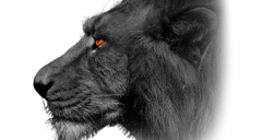 サイバーセキュリティ教育