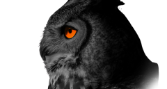 情報セキュリティ文書作成支援/監査