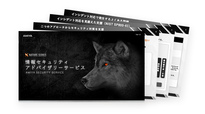 システム監査サービス概要資料