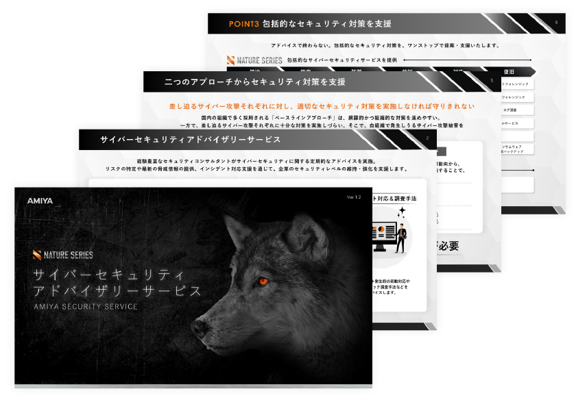 サイバーセキュリティアドバイザリーサービス概要資料