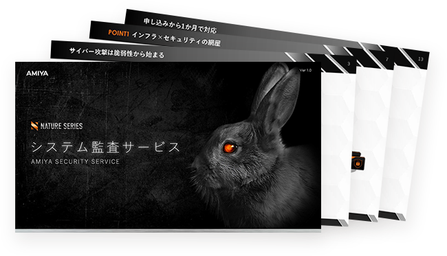 システム監査サービス概要資料