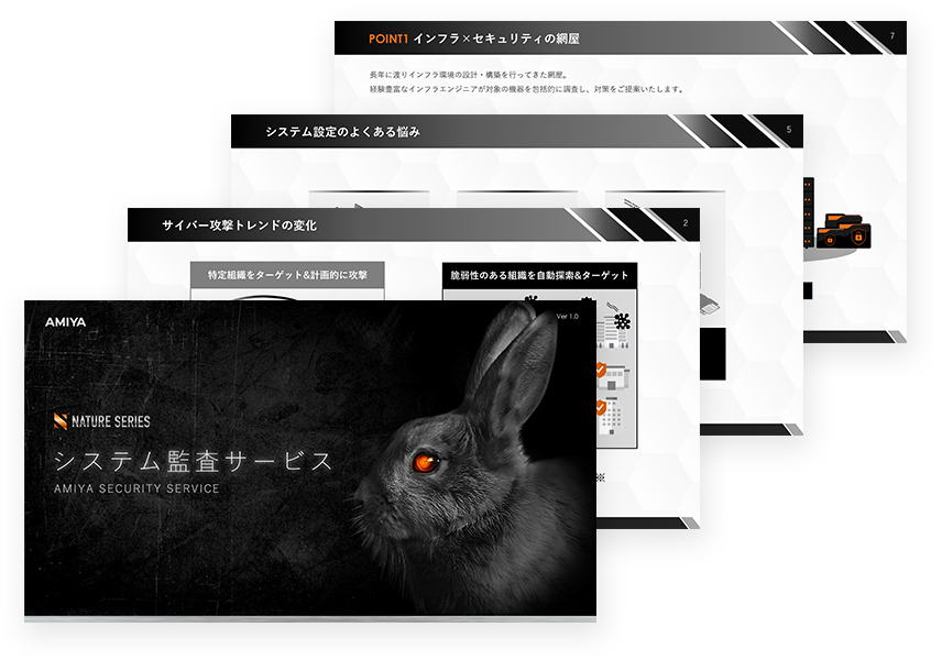 システム監査サービス概要資料